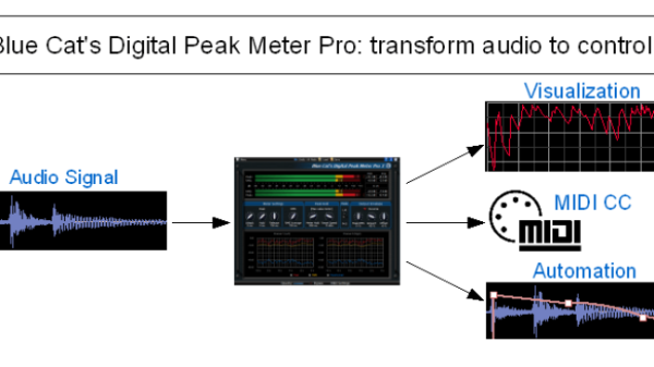 Blue Cat Audio DP Meter Pro Audio Meter and Side-Chaining Plug-In - Image 14