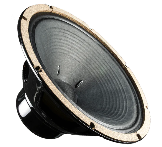 Guitar Amplifier Speakers