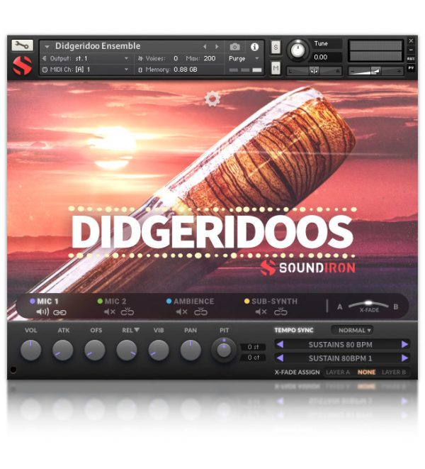 Soundiron Didgeridoos Didgeridoo Wind Instrument (Download) - Image 2
