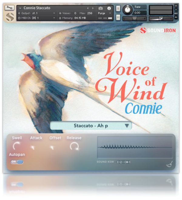 Soundiron Voice Of Wind: Connie Cheerful Silky Female Solo Vocals (Download) - Image 5