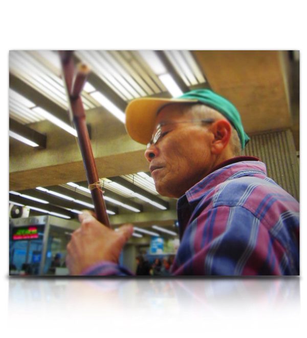 Soundiron Street Erhu Sound Library for Kontakt (Download) - Image 8