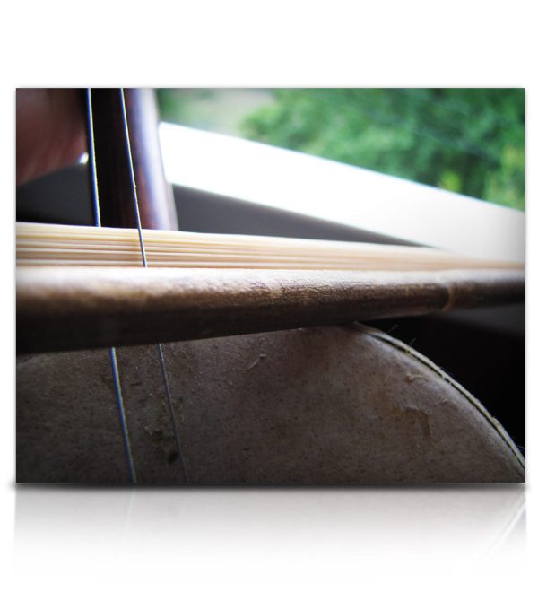Soundiron Street Erhu Sound Library for Kontakt (Download) - Image 13