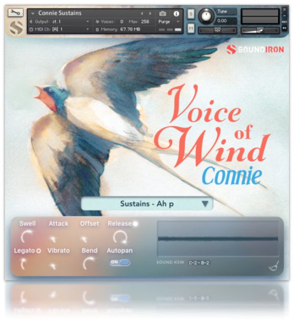Soundiron Voice Of Wind: Connie Cheerful Silky Female Solo Vocals (Download) - Image 2
