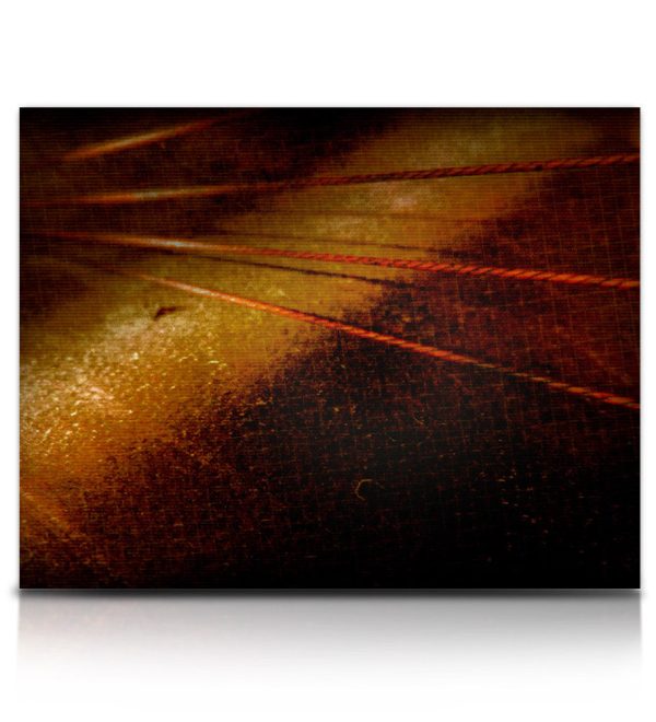 Soundiron Ambius 2: Systematik Sound Library for Kontakt (Download) - Image 12