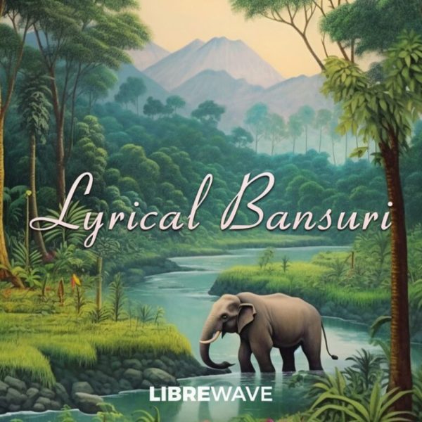Xtant Audio Lyrical Bansuri Traditional Indian Bamboo Flute Plug-in (Download)