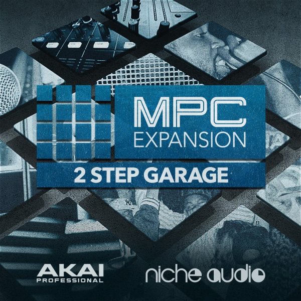 2 Step Garage